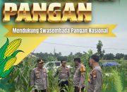 Turun ke Desa Baru, Kapolsek Siak Hulu Tinjau Langsung Pemeliharaan Tanaman Jagung Pipil