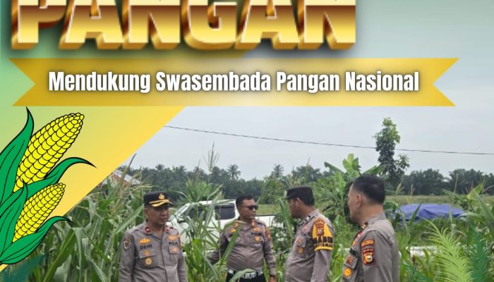 Turun ke Desa Baru, Kapolsek Siak Hulu Tinjau Langsung Pemeliharaan Tanaman Jagung Pipil