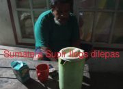 Dugaan Kejanggalan Kasus Ilegal Logging di Bunut, Satu Tersangka Dilepas Hingga Cukong Masih Berkeliaran