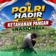 Bhabinkamtibmas Desa Pangkalan Baru Pantau Pertumbuhan Jagung KOPPSA-M, Wujud Nyata Dukungan Polri untuk Ketahanan Pangan