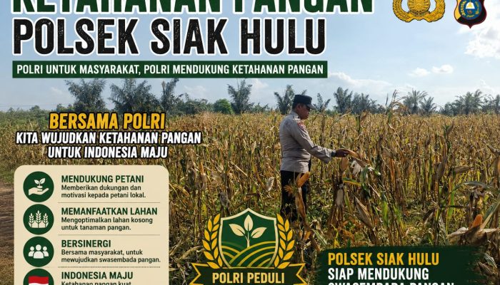 Bhabinkamtibmas Desa Pandau Jaya Monitoring Perkembangan Jagung Pipil untuk Mendukung Ketahanan Pangan
