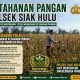 Bhabinkamtibmas Desa Pandau Jaya Monitoring Perkembangan Jagung Pipil untuk Mendukung Ketahanan Pangan