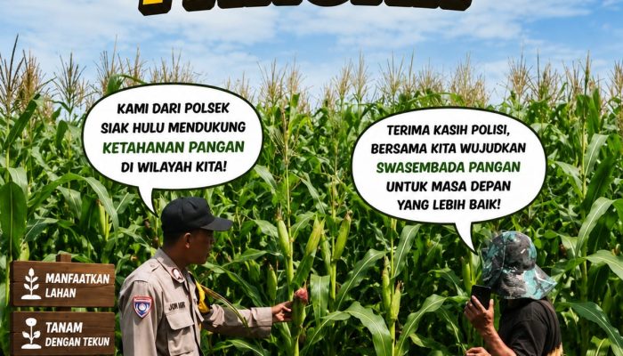 Polisi Cinta Petani: Bhabinkamtibmas Desa Tanah Merah Cek Kondisi Tanaman Jagung Dukung Ketahanan Pangan Nasional