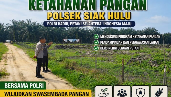 Dari Ladang untuk Negeri, Kapolsek Siak Hulu Kompol Deni Afrial Dukung Ketahanan Pangan Nasional