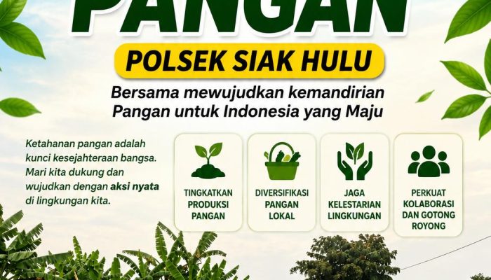 Kapolsek Siak Hulu Cek Perkembangan Tanaman Jagung Warga, Dukung Ketahanan Pangan Nasional