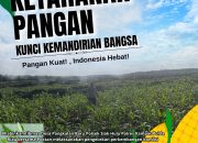Bhabinkamtibmas Desa Pangkalan Baru Tinjau Perkembangan Tanaman Jagung KOPPSA-M, Dukung Program Swasembada Pangan Nasional