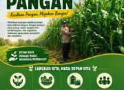 Bhabinkamtibmas Desa Tanah Merah Aktif Monitor Lahan Jagung Warga, Wujud Dukungan Polri Terhadap Ketahanan Pangan
