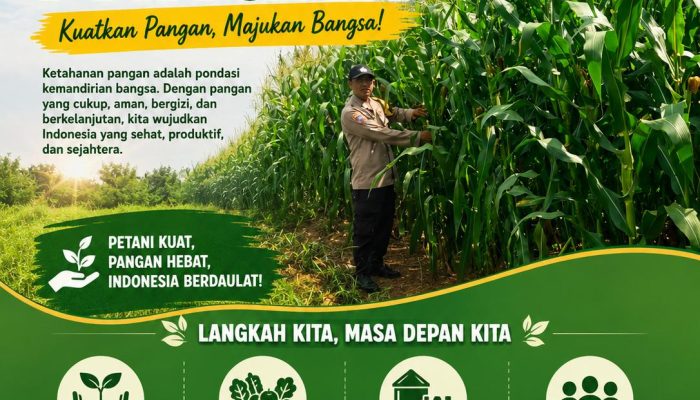 Bhabinkamtibmas Desa Tanah Merah Aktif Monitor Lahan Jagung Warga, Wujud Dukungan Polri Terhadap Ketahanan Pangan