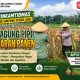 Aiptu Hendri Bersama PPL Tinjau Perkembangan Jagung Pipil di Simpang Perak Jaya