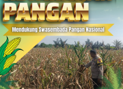 Pantau Perawatan Tanaman Jagung Warga, Bhabinkamtibmas Desa Pandau Jaya Dorong Swasembada Pangan