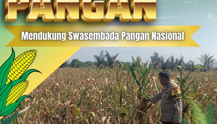 Pantau Perawatan Tanaman Jagung Warga, Bhabinkamtibmas Desa Pandau Jaya Dorong Swasembada Pangan