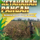 Pantau Perawatan Tanaman Jagung Warga, Bhabinkamtibmas Desa Pandau Jaya Dorong Swasembada Pangan