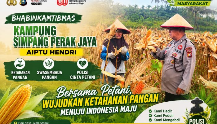 Bhabinkamtibmas Kampung Simpang  Petak Jaya Dukung Ketahanan Pangan, Wujud Nyata Polisi Cinta Petani