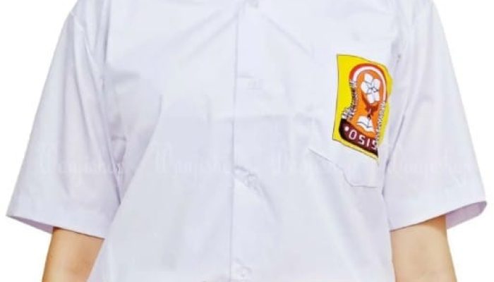 Ormas LCI-RIAU Ungkap Kepsek UPT SMPN 6 Siak Hulu Terima Siswa Melebihi Kouta, Raup Untung Besar Terkait Baju Seragam