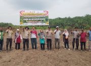 Kapolsek Siak Hulu..! Wujud Nyata Dukungan Ketahanan Pangan Nasional, Tanam Jagung Pipil di Desa Kepau Jaya