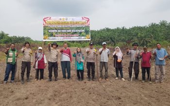 Kapolsek Siak Hulu..! Wujud Nyata Dukungan Ketahanan Pangan Nasional, Tanam Jagung Pipil di Desa Kepau Jaya
