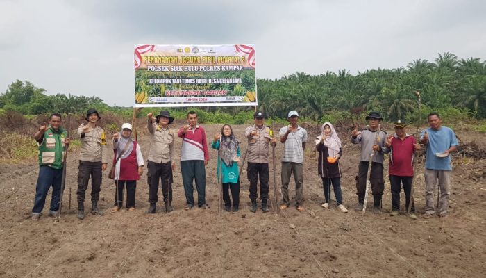 Kapolsek Siak Hulu..! Wujud Nyata Dukungan Ketahanan Pangan Nasional, Tanam Jagung Pipil di Desa Kepau Jaya
