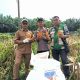 Pemerintah Kampung Gabung Makmur Apresiasi Peran Bhabinkamtibmas Polsek Kerinci Kanan, Program Ketahanan Pangan Bersama Kelompok Tani