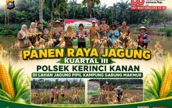Sinergi Polsek Kerinci Kanan Bersama Kelompok Tani Sukseskan Panen Jagung Pipil di Kampung Gabung Makmur