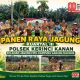 Sinergi Polsek Kerinci Kanan Bersama Kelompok Tani Sukseskan Panen Jagung Pipil di Kampung Gabung Makmur