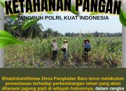 Dukung Swasembada Pangan 2026, Polsek Siak Hulu Cek Perkembangan 10 Hektar Lahan Jagung Pipil di Desa Pangkalan Baru