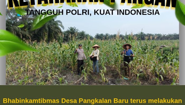 Dukung Swasembada Pangan 2026, Polsek Siak Hulu Cek Perkembangan 10 Hektar Lahan Jagung Pipil di Desa Pangkalan Baru