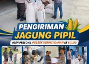 Bhabinkamtibmas Kampung Gabung Makmur Polsek kerinci kanan Kawal Pengiriman Jagung Pipil Hasil Panen ke Bulog Bunga Raya