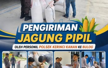 Bhabinkamtibmas Kampung Gabung Makmur Polsek kerinci kanan Kawal Pengiriman Jagung Pipil Hasil Panen ke Bulog Bunga Raya