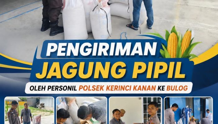 Bhabinkamtibmas Kampung Gabung Makmur Polsek kerinci kanan Kawal Pengiriman Jagung Pipil Hasil Panen ke Bulog Bunga Raya
