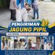 Bhabinkamtibmas Kampung Gabung Makmur Polsek kerinci kanan Kawal Pengiriman Jagung Pipil Hasil Panen ke Bulog Bunga Raya