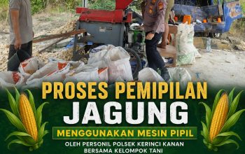Personel Polsek Kerinci Kanan Bersama Kelompok Tani, Pipil Jagung Hasil Panen Dukung Program Ketahanan Pangan Nasional