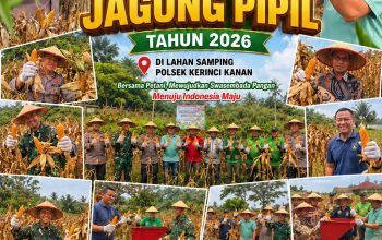 Polsek Kerinci Kanan Bersama UPIKA dan Kelompok Tani Panen Jagung, Wujud Sinergi Dukung Asta Cita