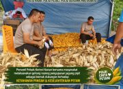 Personel Polsek Kerinci Kanan Gotong Royong Kupas dan Pipil Jagung Hasil Panen Kuartal III Tahun 2026, Dukung Asta Cita Presiden RI