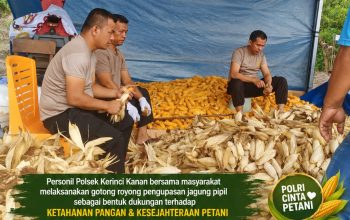 Personel Polsek Kerinci Kanan Gotong Royong Kupas dan Pipil Jagung Hasil Panen Kuartal III Tahun 2026, Dukung Asta Cita Presiden RI