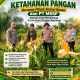 Kapolsek Kerinci Kanan Tinjau Lahan Jagung Pipil, Perkuat Sinergi Ketahanan Pangan Bersama PT MSSP