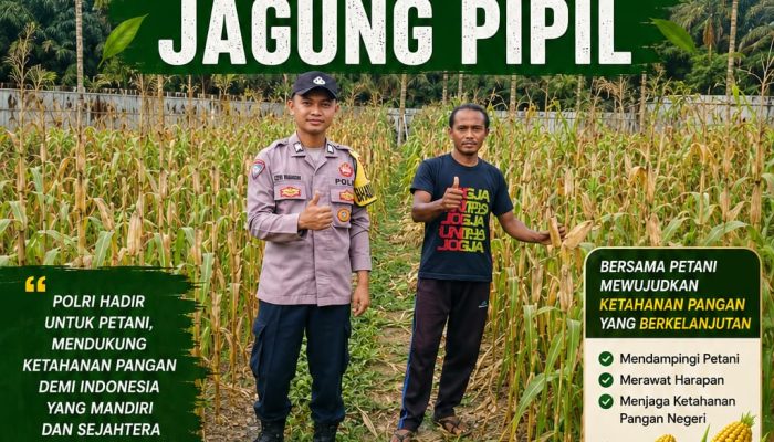 Bhabinkamtibmas Kampung Gabung Makmur Laksanakan Pembinaan dan Pengecekan Ketahanan Pangan Jagung Pipil