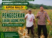 Bhabinkamtibmas Kampung Kerinci Kanan Polsek Kerinci Kanan Pengecekan Lahan Jagung Pipil, Wujud Dukungan Polri Terhadap Ketahanan Pangan