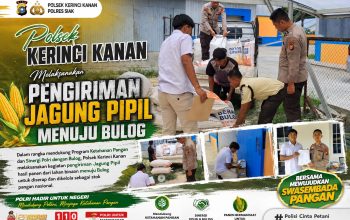 Polsek Kerinci Kanan Laksanakan Pengiriman Jagung Pipil ke BULOG, Wujud Nyata Dukungan terhadap Ketahanan Pangan Nasional