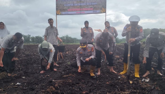 Sinergi Ketahanan Pangan, Kompol Deni Afrial Pimpin Penanaman Jagung Pipil di Desa Baru