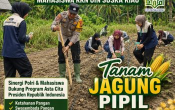 Mahasiswa KKN UIN Suska Riau Bersama Bhabinkamtibmas Polsek Kerinci Kanan Tanam Jagung Pipil di Kampung Gabung Makmur