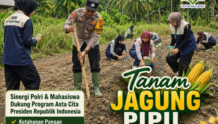 Mahasiswa KKN UIN Suska Riau Bersama Bhabinkamtibmas Polsek Kerinci Kanan Tanam Jagung Pipil di Kampung Gabung Makmur