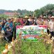 Polsek Kerinci Kanan Panen Jagung Pipil di Kampung Bukit Agung, Wujud Sinergi Dukung Ketahanan Pangan