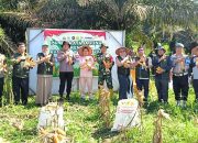 Polsek Kerinci Kanan Bersama Pemerintah Kampung dan Kelompok Tani Panen Jagung di Kampung Kerinci Kiri, Perkuat Ketahanan Pangan