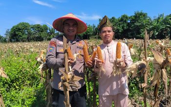 Pemerintah Kampung Kerinci Kiri Apresiasi Peran Bhabinkamtibmas Polsek Kerinci Kanan dalam Mendampingi Program Ketahanan Pangan