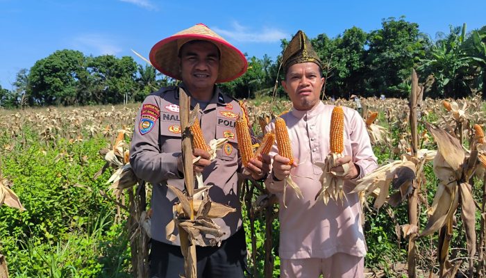 Pemerintah Kampung Kerinci Kiri Apresiasi Peran Bhabinkamtibmas Polsek Kerinci Kanan dalam Mendampingi Program Ketahanan Pangan
