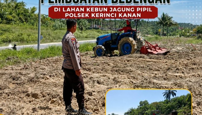 Progres Tanam Jagung Pipil Kuartal III Digenjot, Penggemburan Tanah dan Pembuatan Bedeng Dilakukan