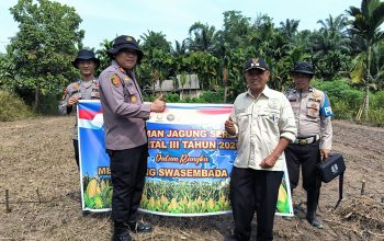 Penghulu Kampung Buatan Baru Dukung Asta Cita Presiden melalui Ketahanan Pangan Jagung Pipil