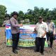 Penghulu Kampung Buatan Baru Dukung Asta Cita Presiden melalui Ketahanan Pangan Jagung Pipil