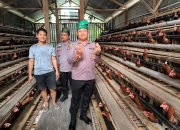 Kapolsek Kerinci Kanan Tinjau Budidaya Ayam Petelur di Kampung Delima Jaya, Dukung Ketahanan Pangan