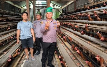 Kapolsek Kerinci Kanan Tinjau Budidaya Ayam Petelur di Kampung Delima Jaya, Dukung Ketahanan Pangan